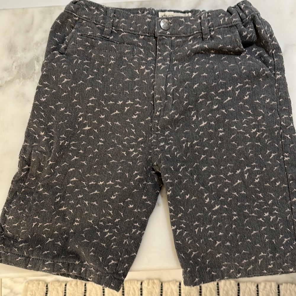 Boys appaman inc grey shirts size 8